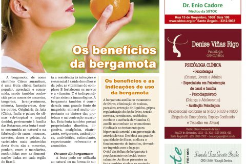 28052016 Viver Bem.indd