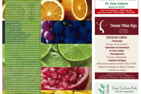 04062016 Viver Bem.indd