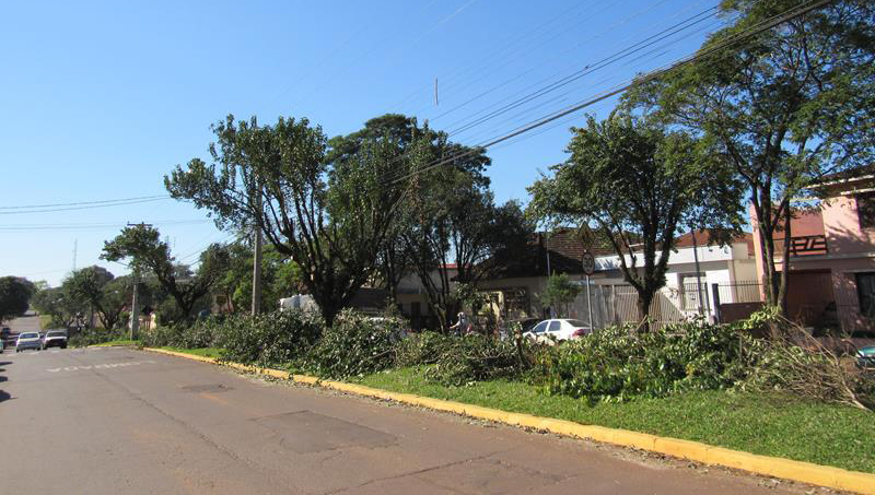 Poda de árvores na Av. Rio Grande do Sul realizada pelas equipes da Secretaria do Meio Ambiente com a ajuda de militares no dia 25 de agosto