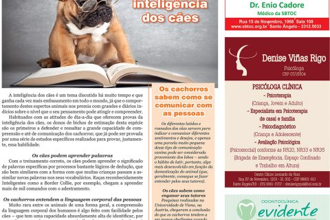 24092016 Viver Bem.indd