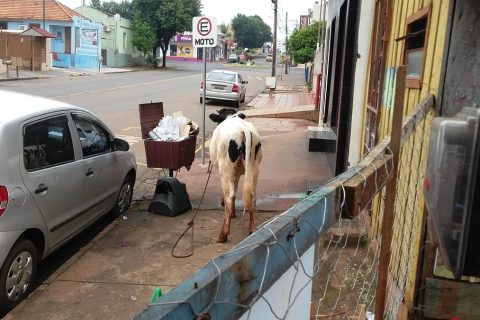 img-20160918-wa0007