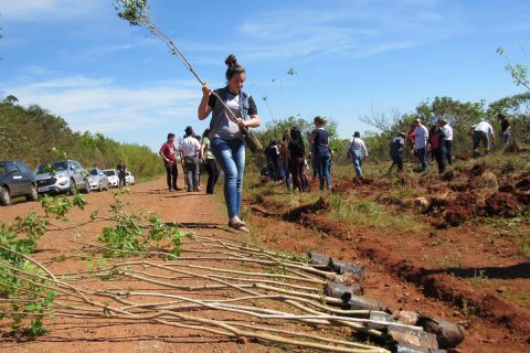 As 180 mudas de Ipê foram doadas pela Secretaria do Meio Ambiente. O plantio de diversas espécies iniciou no ano de 2000 a inteção é completar cinco quilômetros