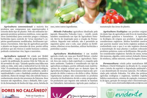 22102016 Viver Bem.indd