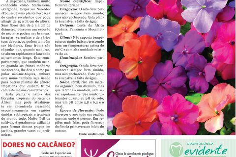 19112016 Viver Bem.indd