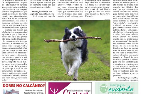 26112016 Viver Bem.indd