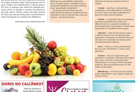 31122016 Viver Bem.indd