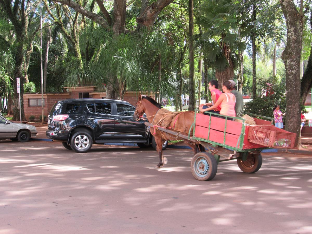 Carroças no centro do município]