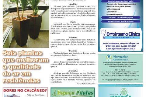 01042017 Viver Bem_4pag.indd