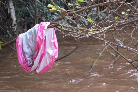 Lixo no itaqua (2)