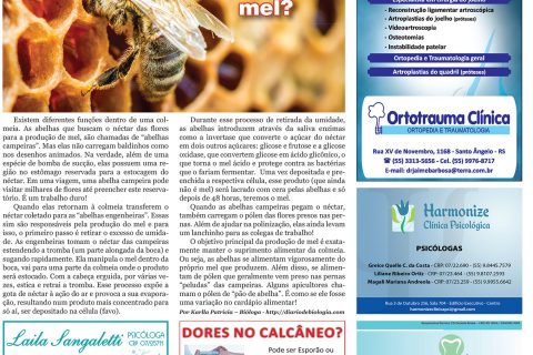 12082017 Viver Bem_4pag.indd