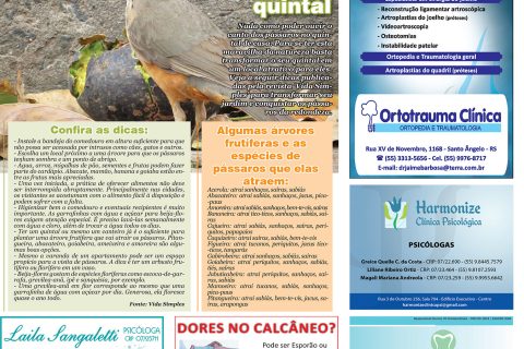 19082017 Viver Bem_4pag.indd