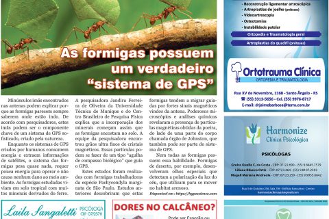 26082017 Viver Bem_4pag.indd