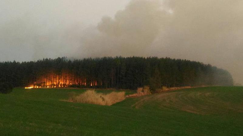 Incêndio atingiu uma área de Eucaliptos que fica às margens da BR 285, na última semana - Foto: Divulgação / Facebook Caçadores de Notícias 