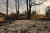 Vegetação queimada as margens da ERS 344 mostra os estragos provocado por um incêndio ocorrido no último dia 24