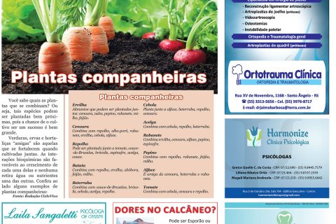 09092017 Viver Bem_4pag.indd