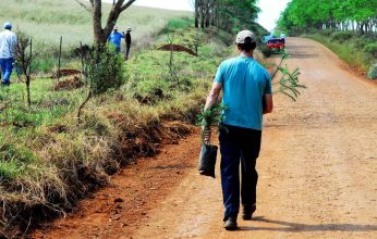 8-Plantio-de-árvores-foto-fernando-gomes-346x220.jpg