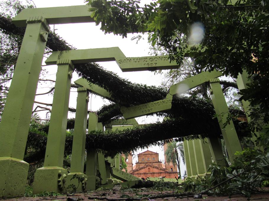 Jacarandá Mimoso com tronco doente cai com o vendaval e destrói pelo menos três pérgolas  que representam os trinta Povos Missioneiros na Praça Pinheiro Machado