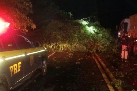 o acidente mais grave ocorreu em Santa Rosa, na quinta-feira, dia 11, na BR 472, quando
uma motociclista colidiu em uma árvore que estava sobre a pista em razão do temporal