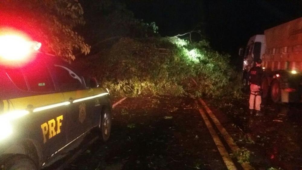 o acidente mais grave ocorreu em Santa Rosa, na quinta-feira, dia 11, na BR 472, quando uma motociclista colidiu em uma árvore que estava sobre a pista em razão do temporal