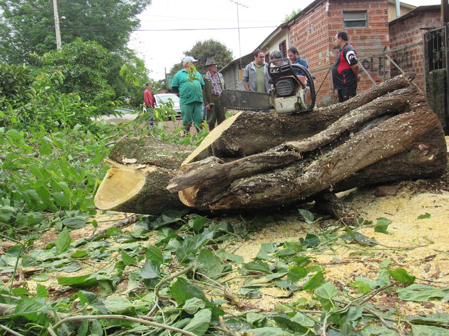 Limpeza da Rua Três de outubro depois da retirada de árvores no canteiro central e na Praça Pinheiro Machado