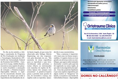 18112017 Viver Bem_4pag.indd