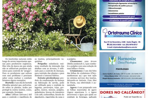 16122017 Viver Bem_4pag.indd