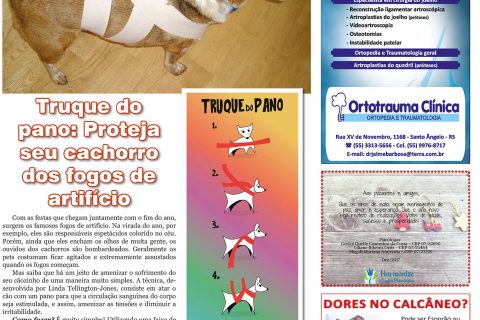 29122017 Viver Bem_4pag.indd