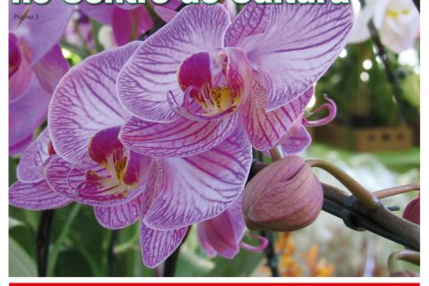 17032018 - O Mensageiro.indd