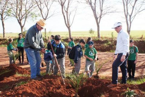 Plantio de Arvores Tunel Verde