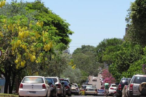 Trânsito - AV Brasil - cidade (9)