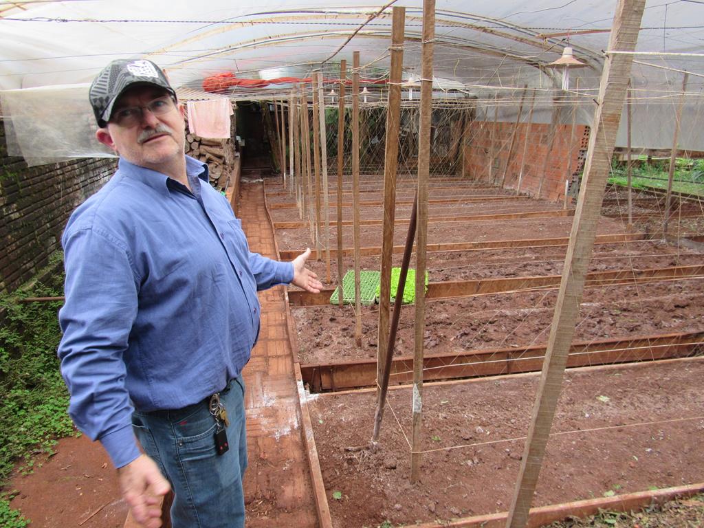 Horta do Luiz Elias Costa - Estufa para cultivo de tomate cereja (Copy)