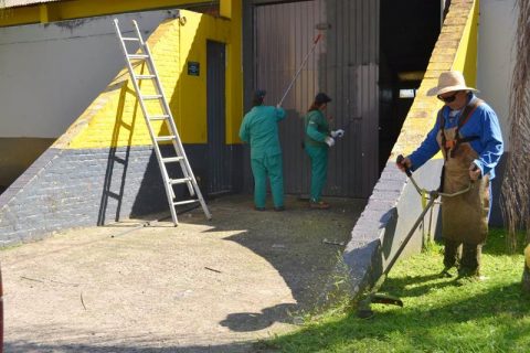 2 - SEMMA trabalha na limpeza em preparação aos eventos - Foto João Gomes as (Copy)