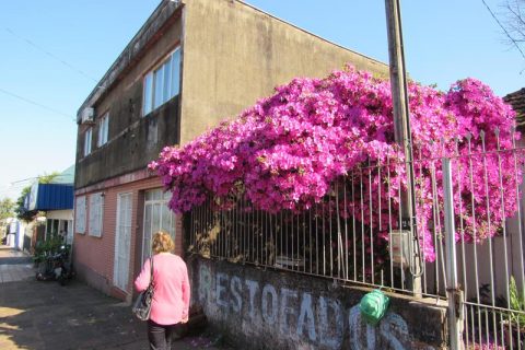 IMG_4154 (Copy)