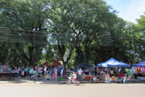 Brique da Praça e orquestra ARS - Borroca (102) (Copy)