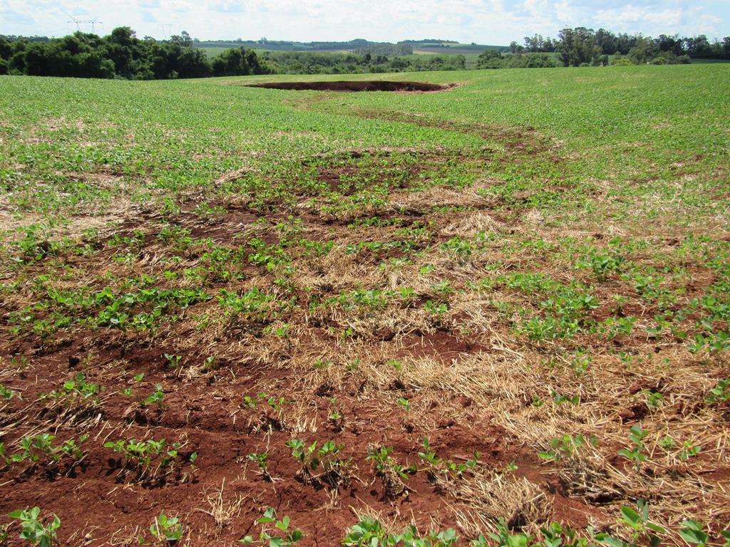 Compactação e adensamento de áreas agrícolas em Santo Ângelo (9) - água doce (Copy)