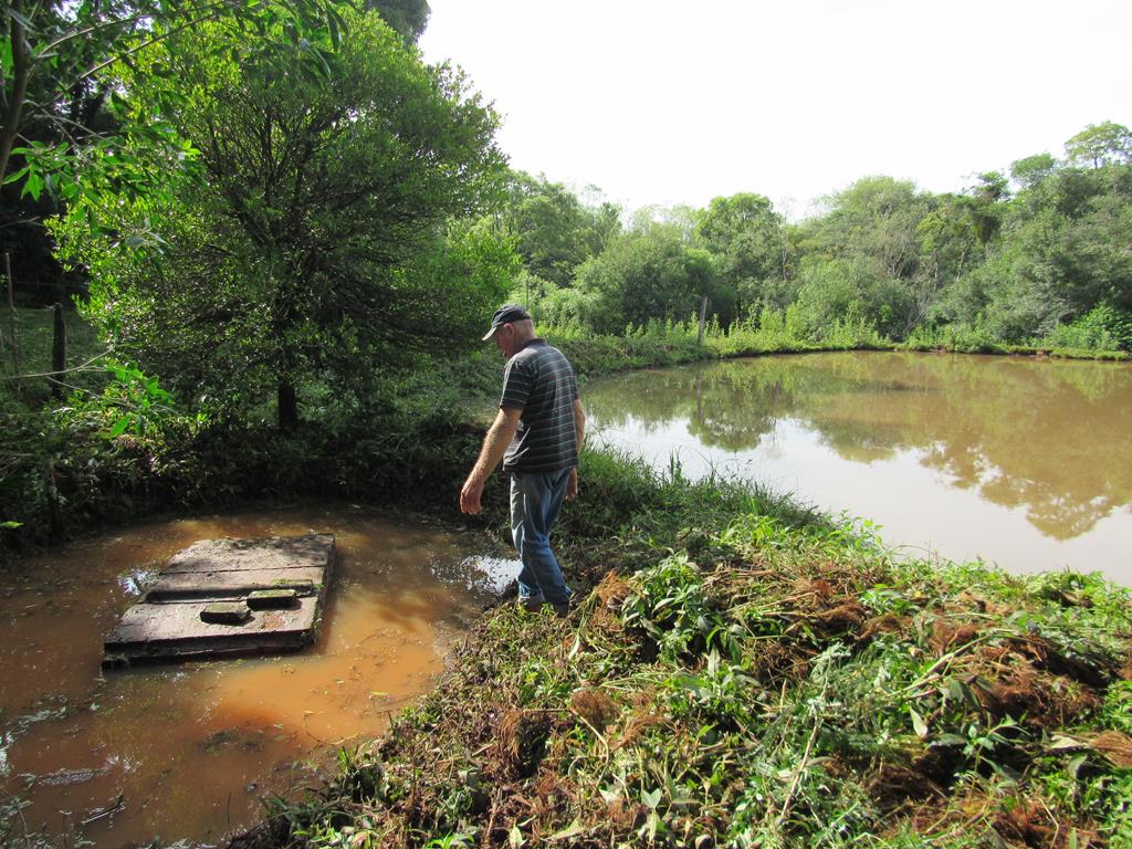 Foto do Olho dágua no quintal da casa de Papo de Fogo