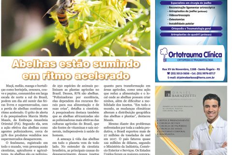 23022019 - Viver Bem_4pag.indd