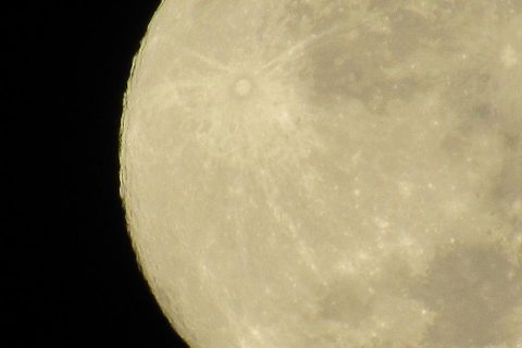 IMG_0613 (Copy)