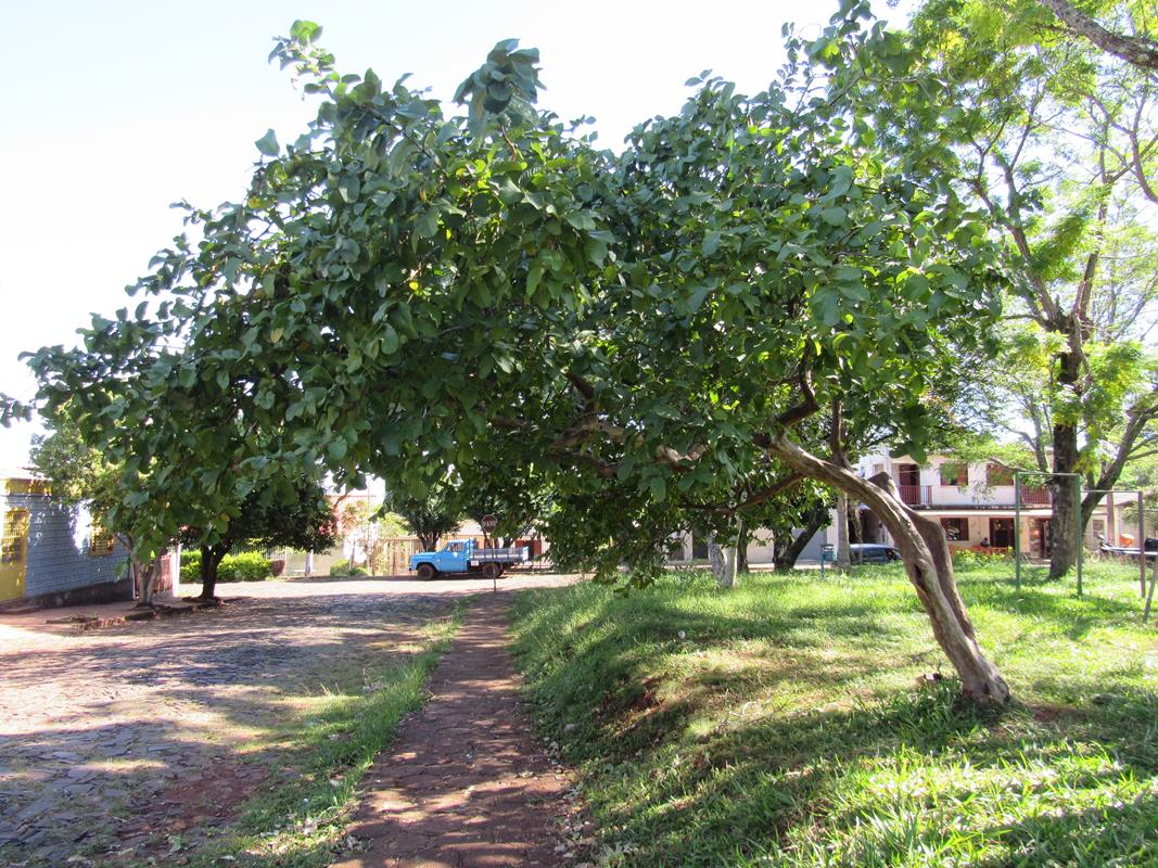 Praça da do Bairro Haller (6) (Copy)