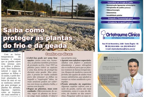 06072019 - Viver Bem_4pag.indd