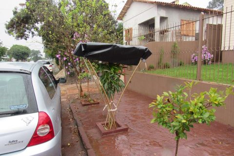 A espera do frio (18) (Copy)
