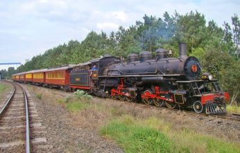 Locomotiva-Maria-Fumaça-Mallet-204-2-346x220.jpg