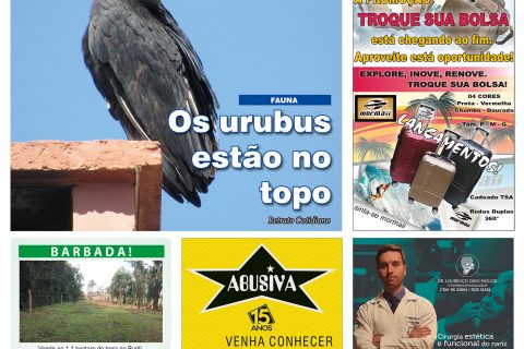 04062019 - O Mensageiro.indd