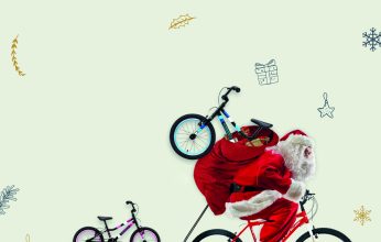 Bike-Noel-2-capa-346x220.jpg