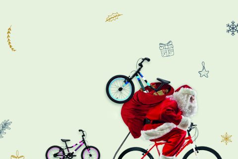 Bike Noel 2 capa