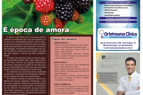 26102019 - Viver Bem_4pag.indd