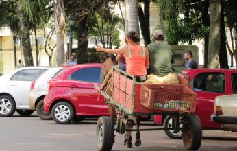 Carroças-no-centro-do-município-Copy-346x220.jpg