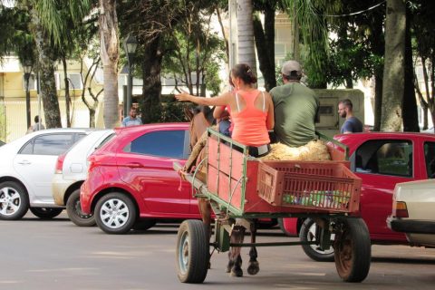 Carroças no centro do município (Copy)