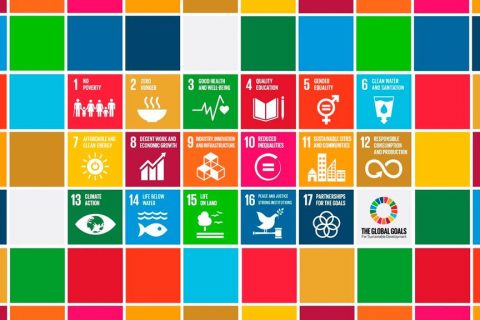 ODS ONU - Agenda 2030 (Copy)
