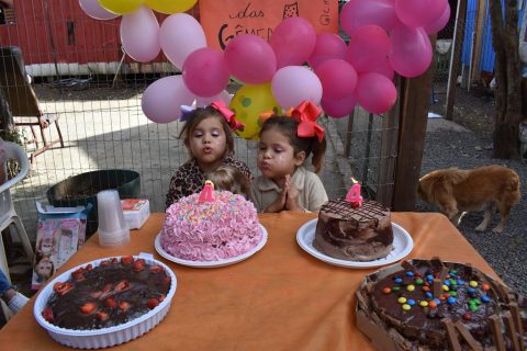 Festa de aniversário surpresa para crianças visitadas pelos jovens